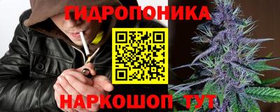 бошки Славгород